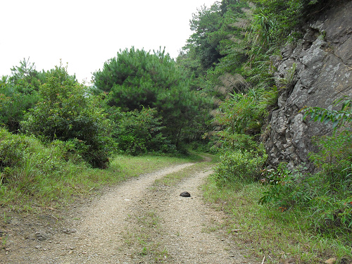 ��;�ֵ�����