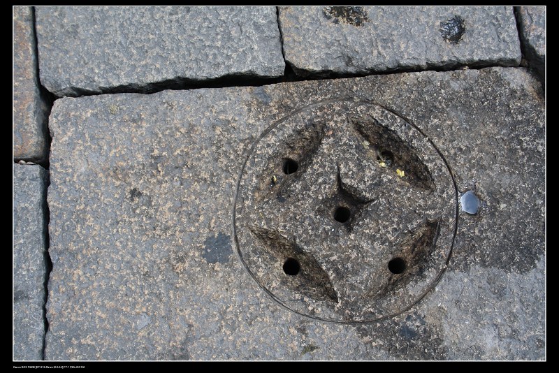 ��Ƭ���� 443.jpg