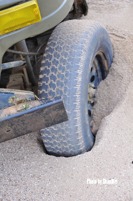 ��һ�����ӣ�ɳ�Ѿ�û�������̥