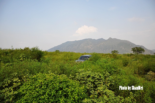 ���۸����ȱ�����```