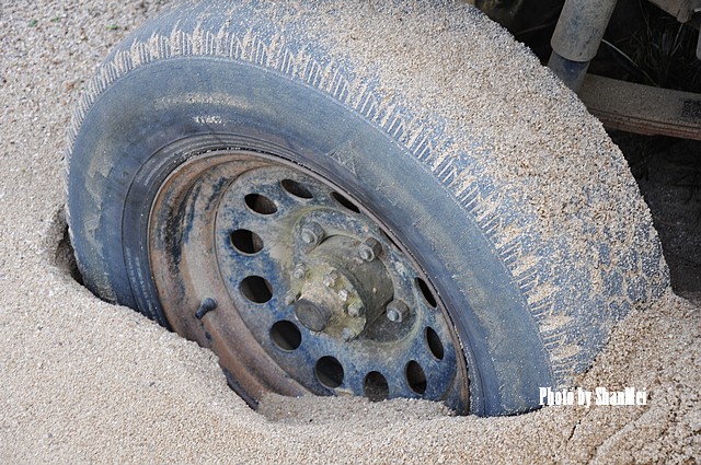 �����˰������