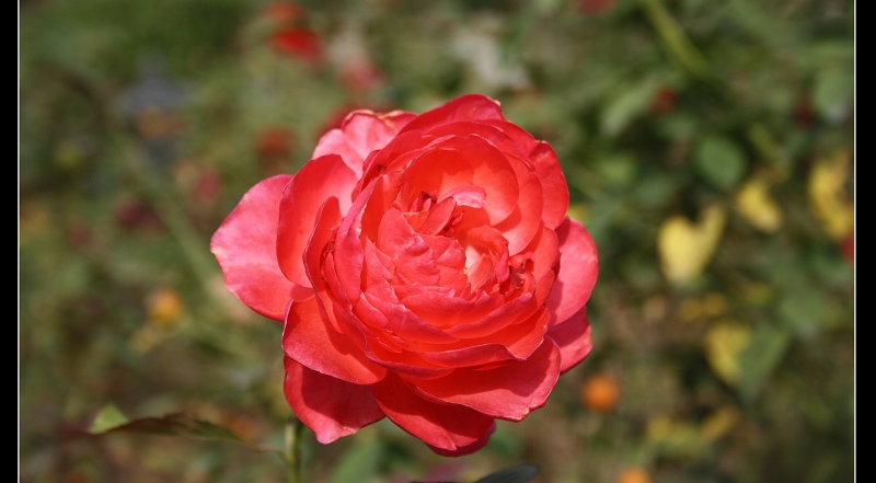 ����~ʯ��ׯ 460.jpg