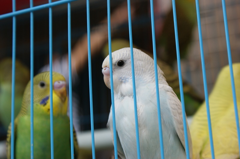 �⣢椣�������