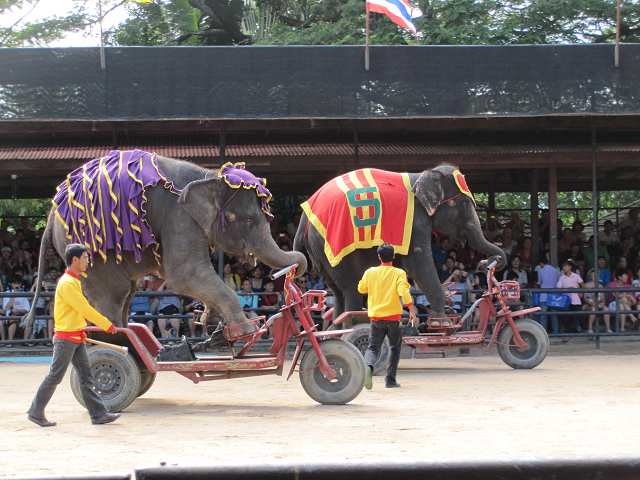 ��������һ���ﳵ