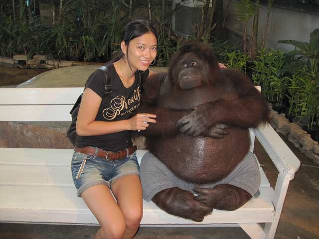 ��ʲô���񰡣�����������һ��������