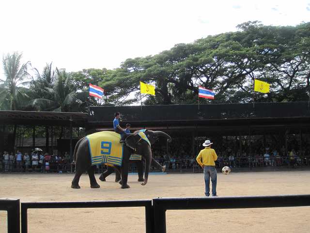 ���ߣ�����