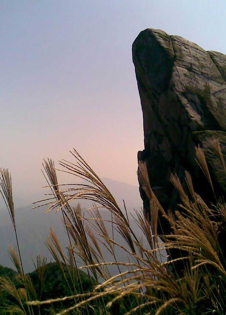 ����ɽ��