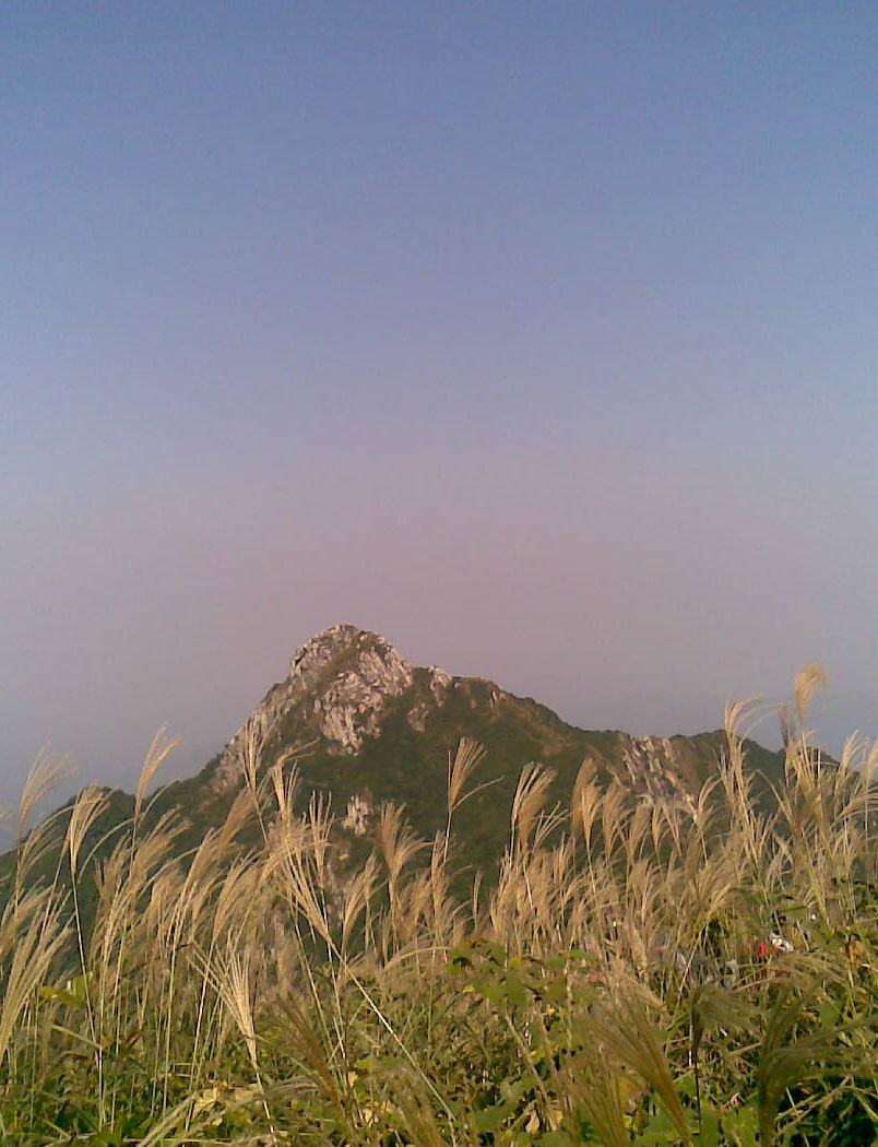 �ඥ�ع�֮ʯ��