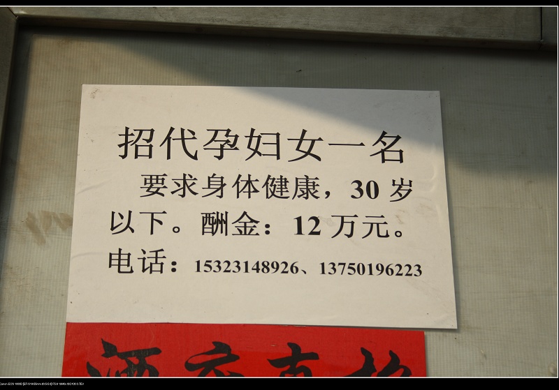 ���� 120.jpg