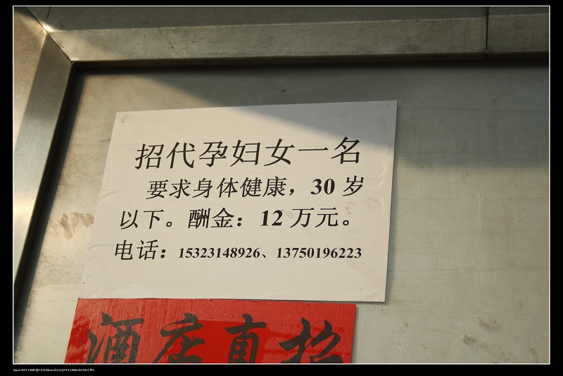 ���� 111.jpg