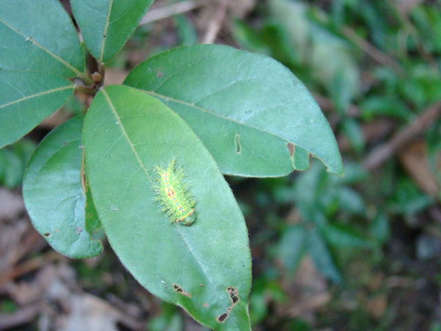 ����ǰ��ˣ�С�ĵ㣬���ǰ�Ŷ��