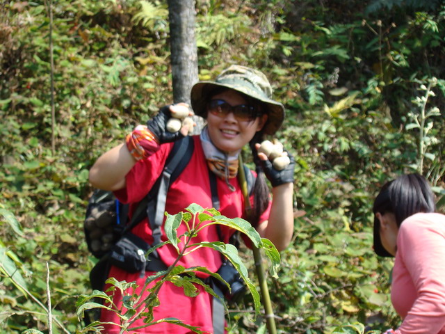 ���пɰ���һ��