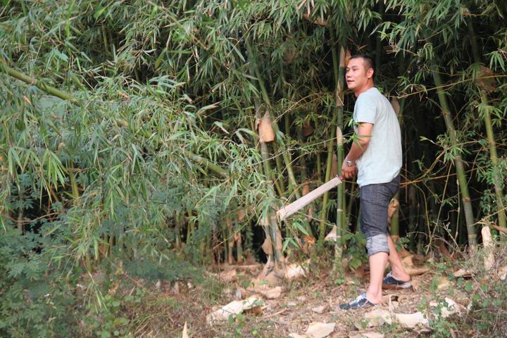 ������С IMG_1491.JPG