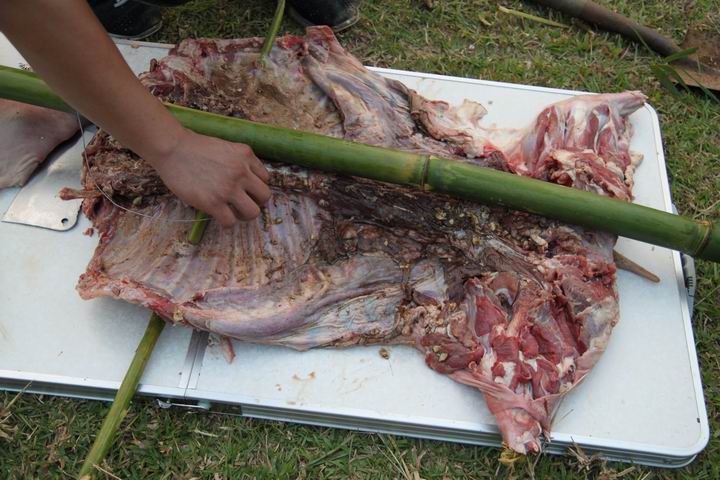 ������С IMG_1516.JPG