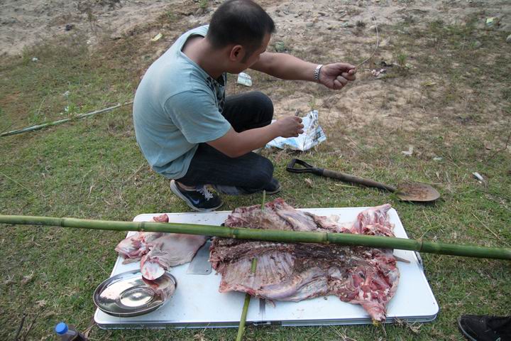 ������С IMG_1515.JPG