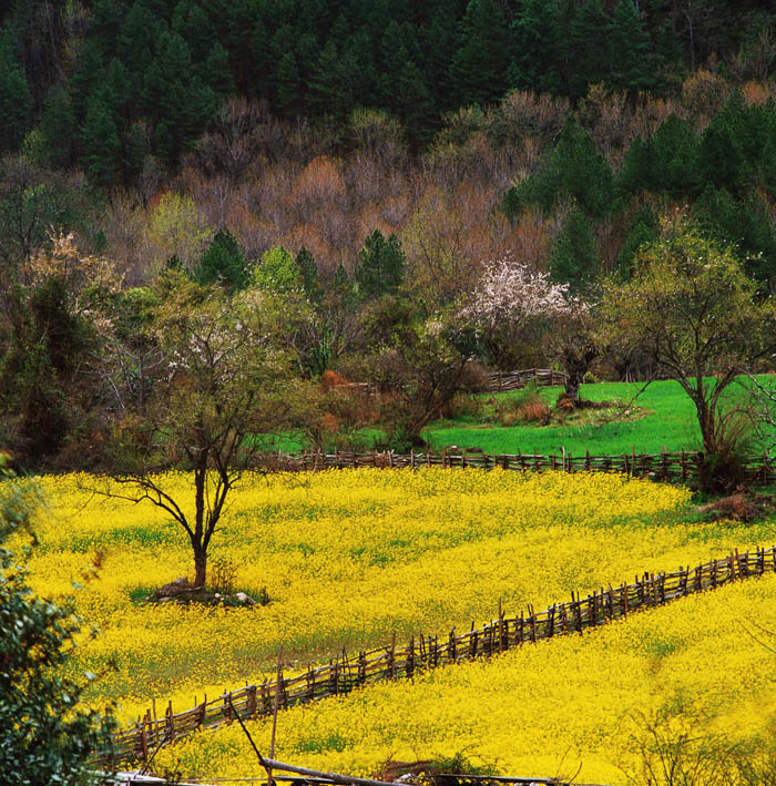 ��֥���ܣ�120��֣�