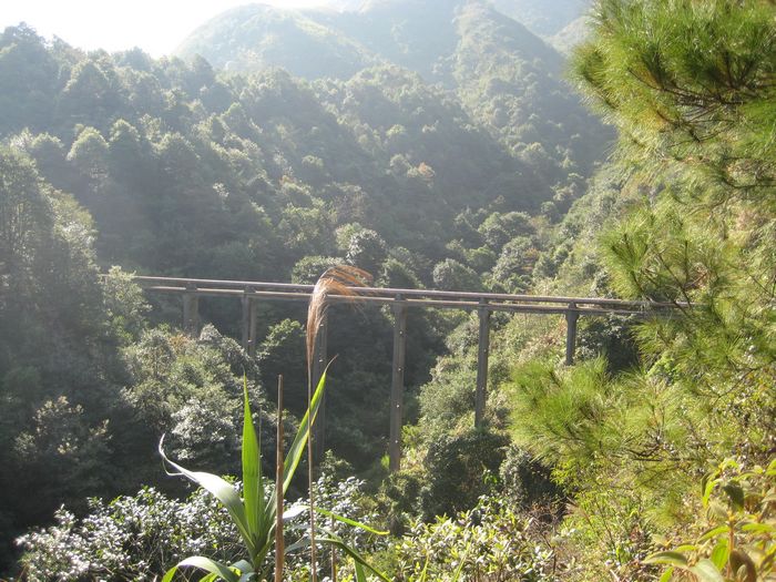 Ͽ���еĶɲ�