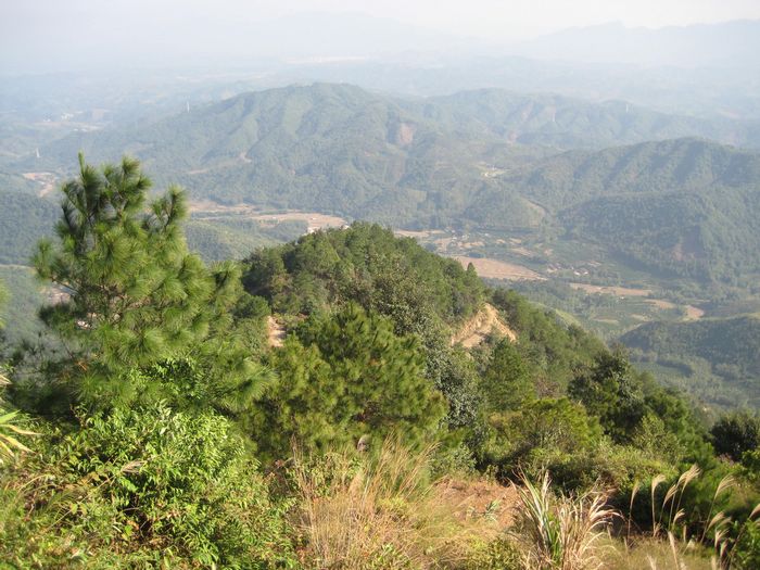 �ٻ����߹���·,Զ���Ĵ�ׯ�Ѿ���������