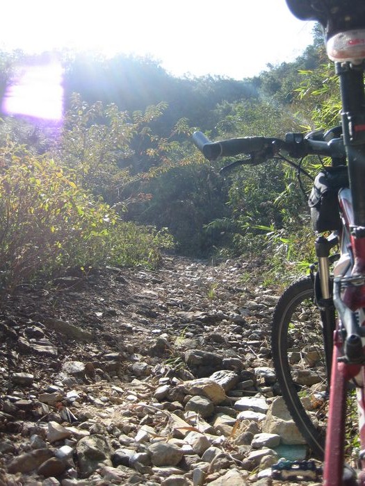 ���������·