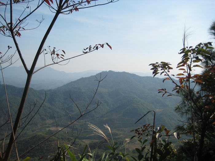 ����,�Ѿ���ģ���Ĵ�ׯ