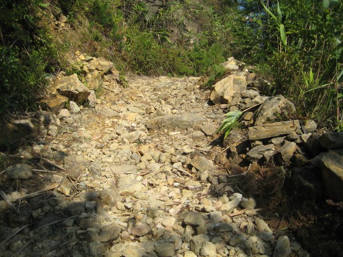 ��������ֲ���·