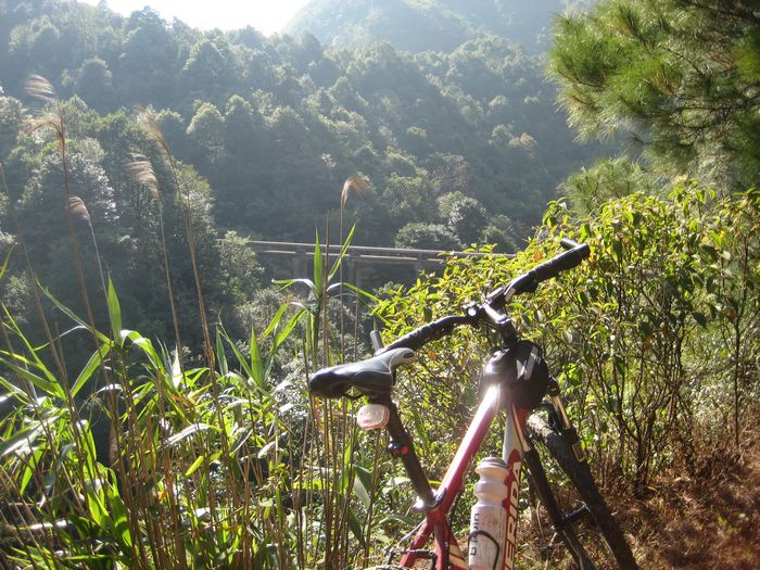 �����뿴�ɲ�