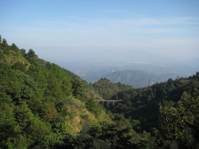 ��Ͽ����ת��NȦ,������Ȼ�����ɲ�