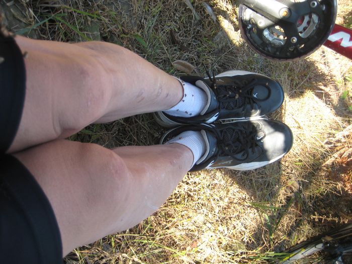 ���������ڷ�ʡ��