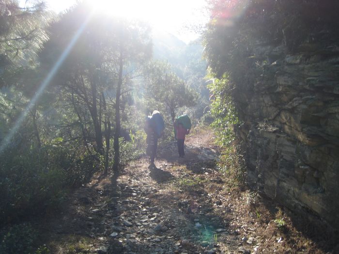 �����ɲݵ�����,���������ô����