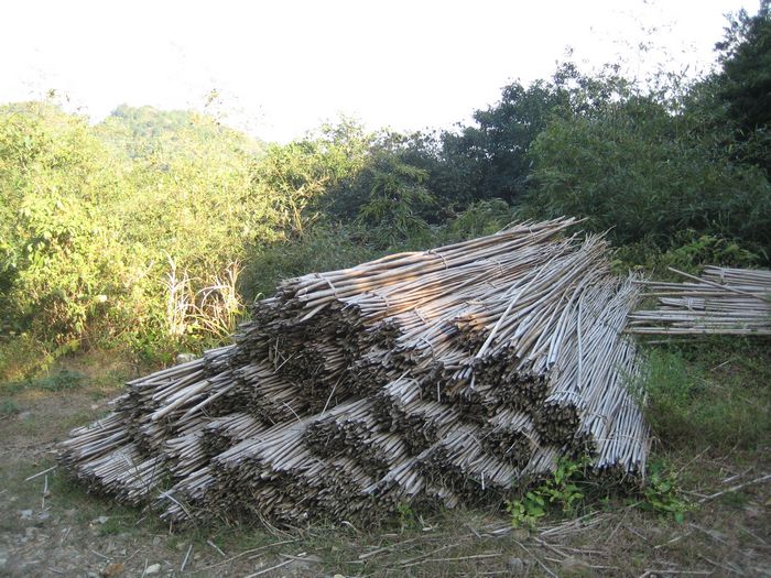 ·�߲�֪��ʱ����������,���ܾ�����Ϊ·���߶�������