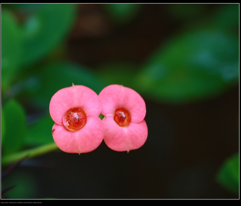 ������ 046_��Ӱ_1.jpg