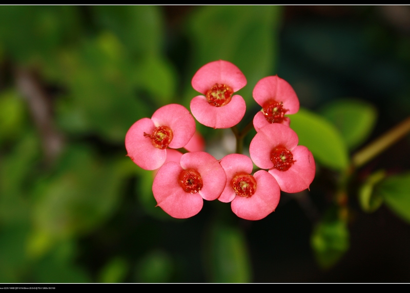 ������ 056_��Ӱ_1.jpg