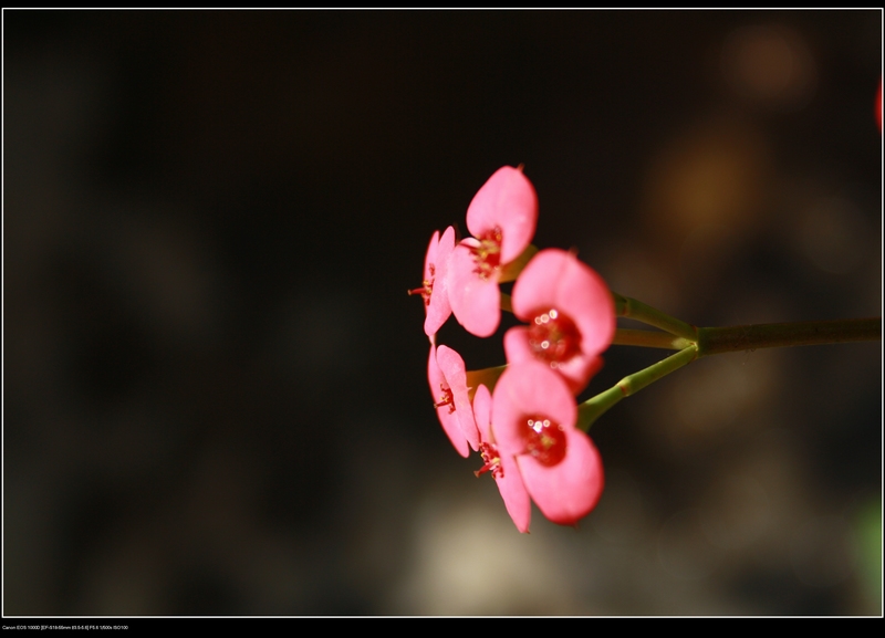 ������ 053_��Ӱ_1.jpg