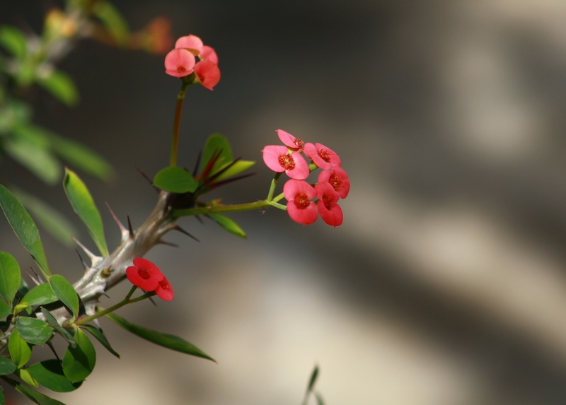 ������ 020_��Ӱ_1.jpg