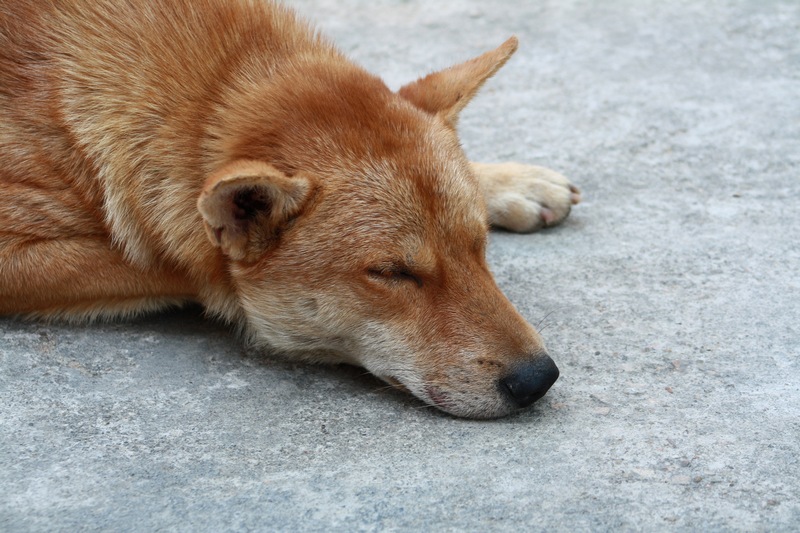 ������ 010_��Ӱ_1.jpg