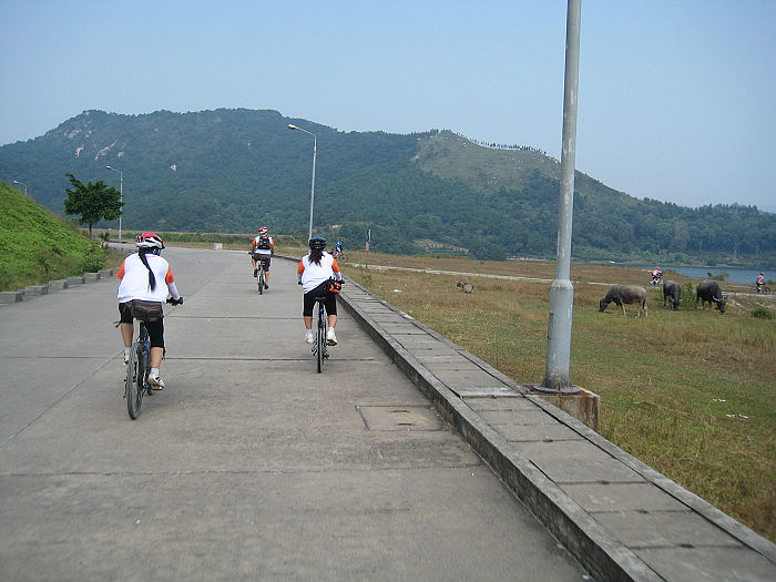 ���Ǵ���ɴ���