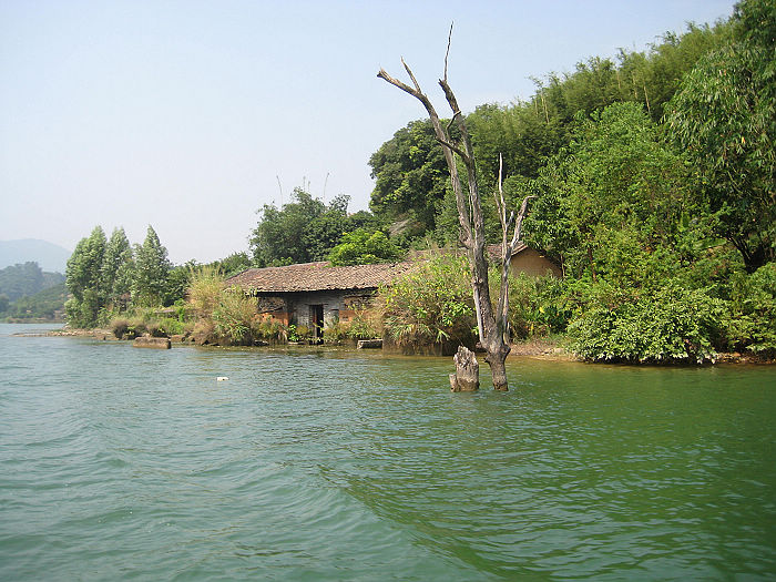 ��������ԫ�ϱ���ïʢ�������γ������Ա�