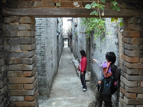 С�������MT