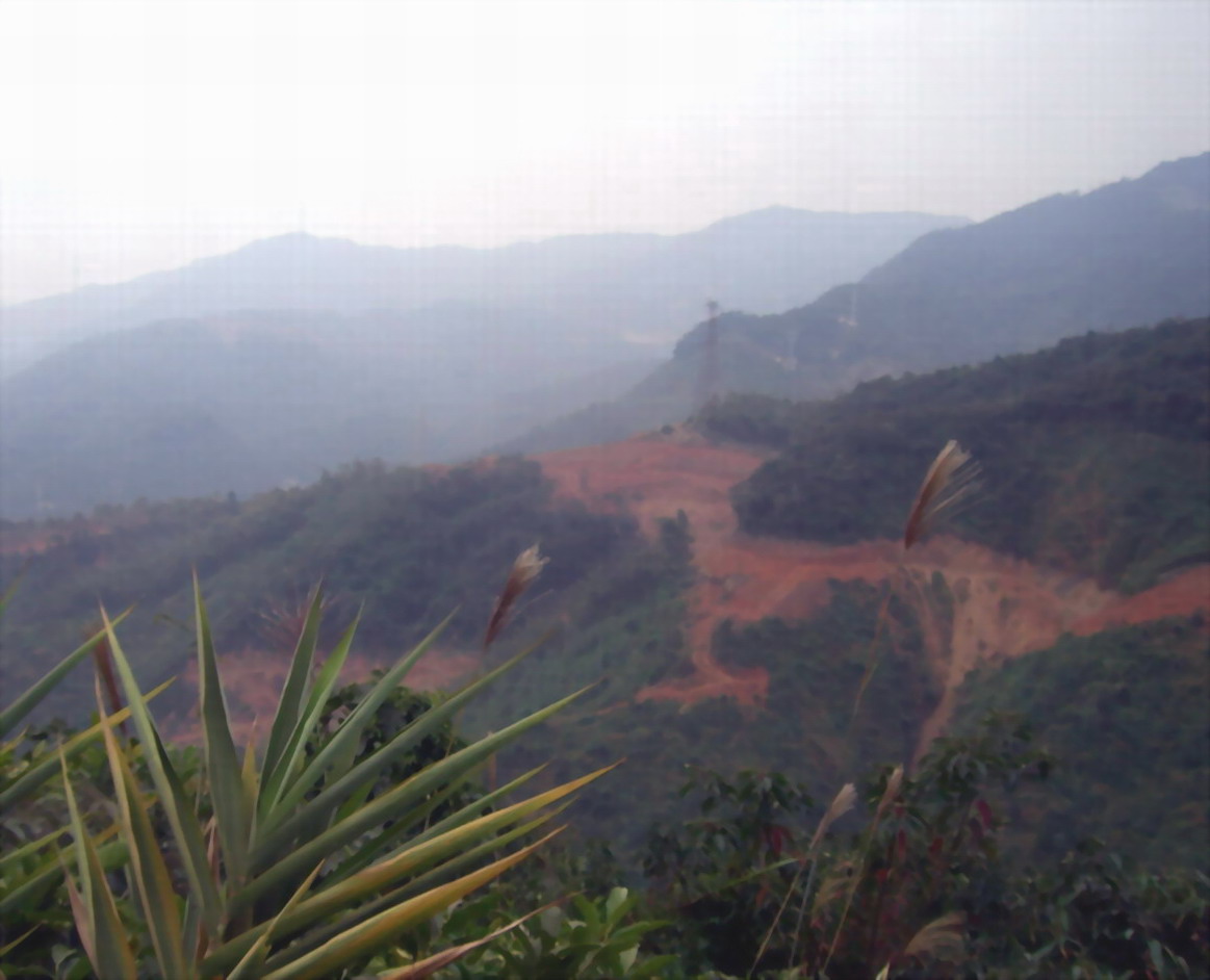 Ͷ��40�ڵ���Զ���ܵ�վ����һ��