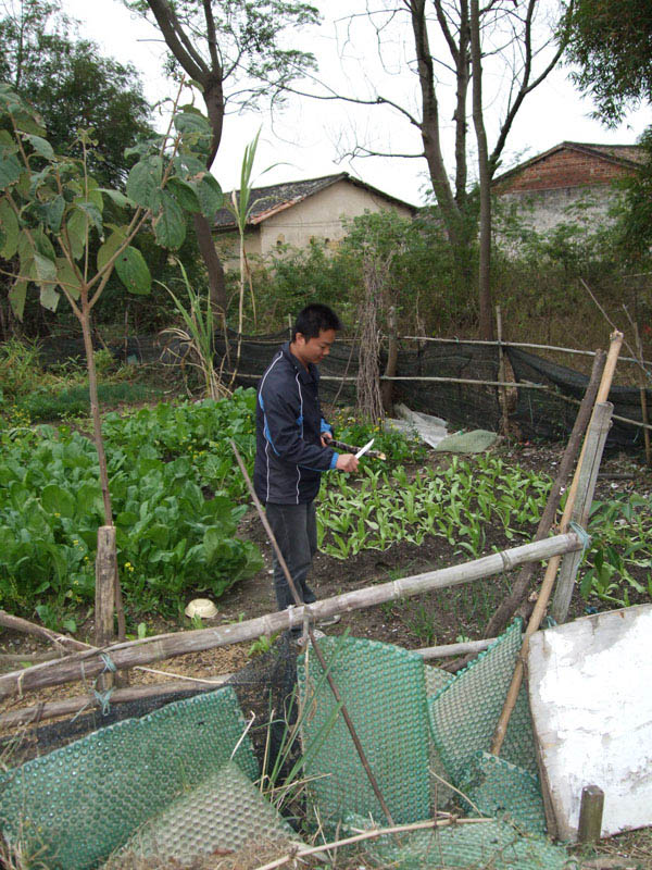 ���ǡ����� ������