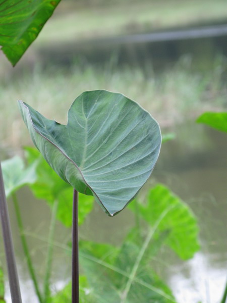 ��Ƭ 134_��С��С.jpg