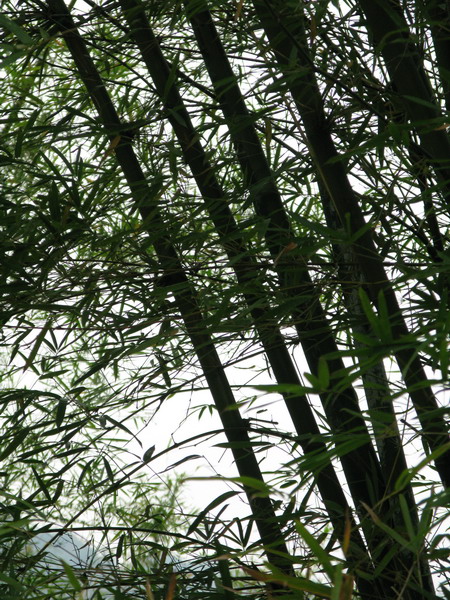 ��Ƭ 116_��С��С.jpg