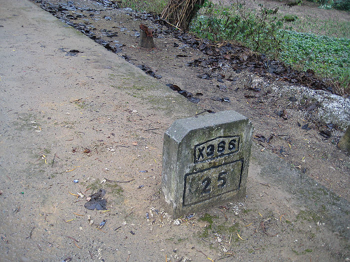 �������ص�X366,�������Ƿ������