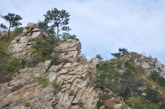 ������ɽ�����3��