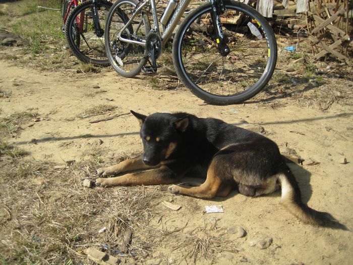 �ܿ�ͺ����ǻ���Ĺ�