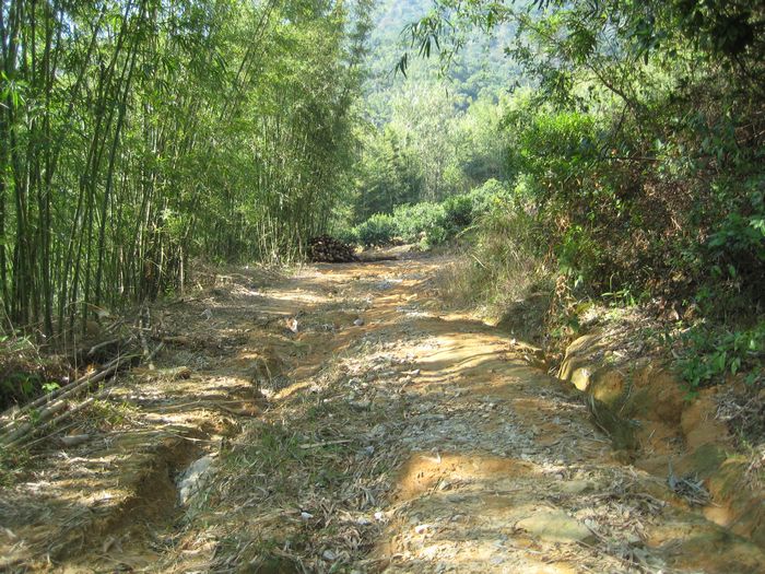 �����ɽ��·�����￪ʼ