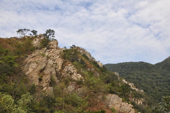 ������ɽ�����2��