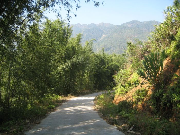 ����ɽ��ʼ����Щ��