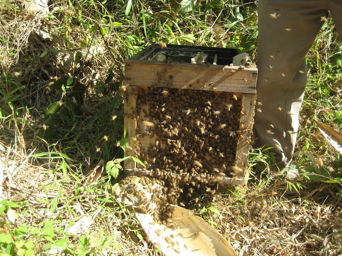 ��������׷�������ܵķ�����������