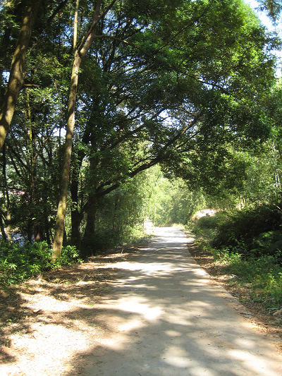 ���������С·